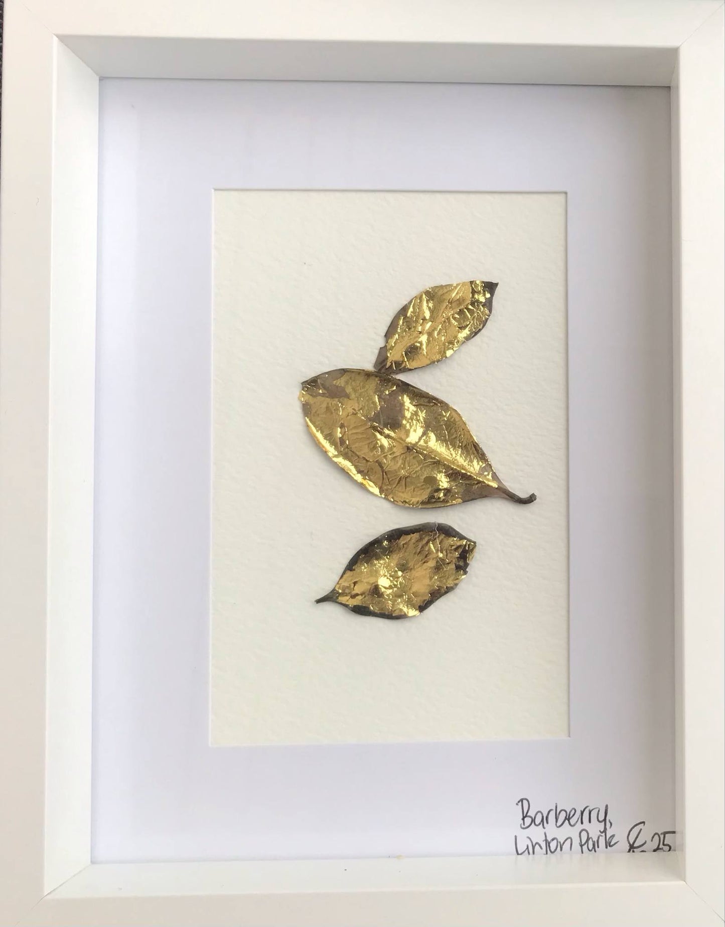 'Gilded Barberry' - Gold metal leaf, Dried Barberry on cotton (Karen Hansen, 2025) (Framed)
