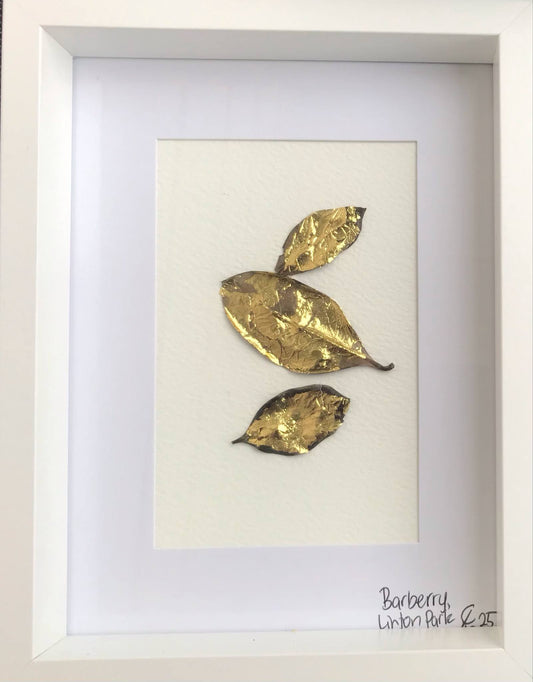 'Gilded Barberry' -  Gold metal leaf, Dried Barberry on cotton (Karen Hansen, 2025) (Framed)